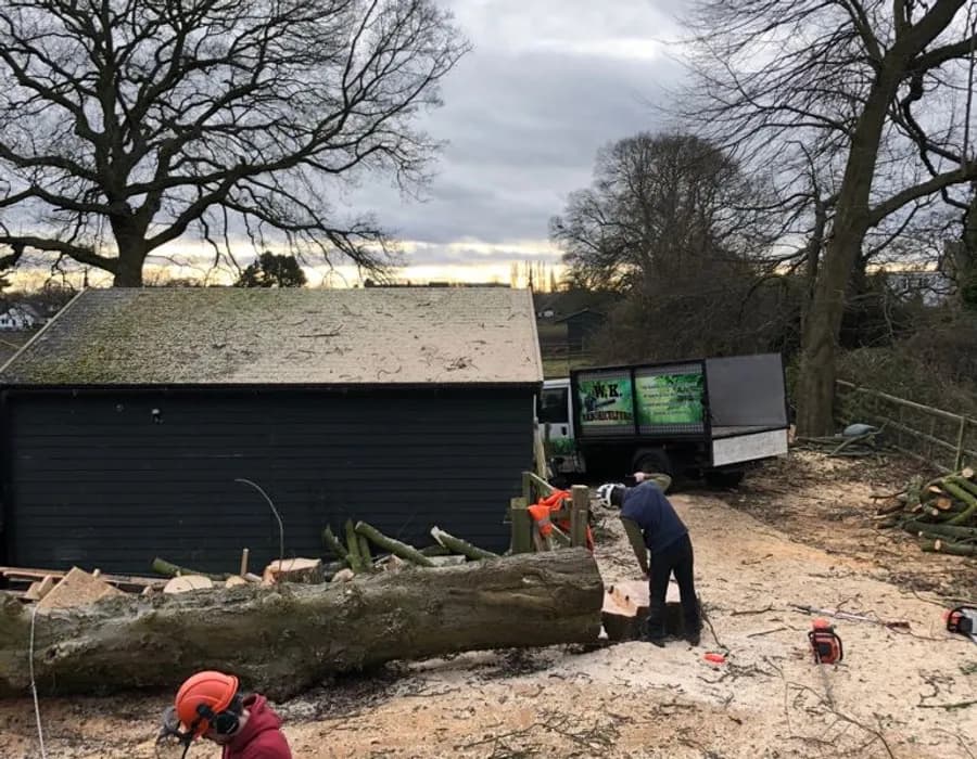Arborists cutting a large trunk on site in Wirral